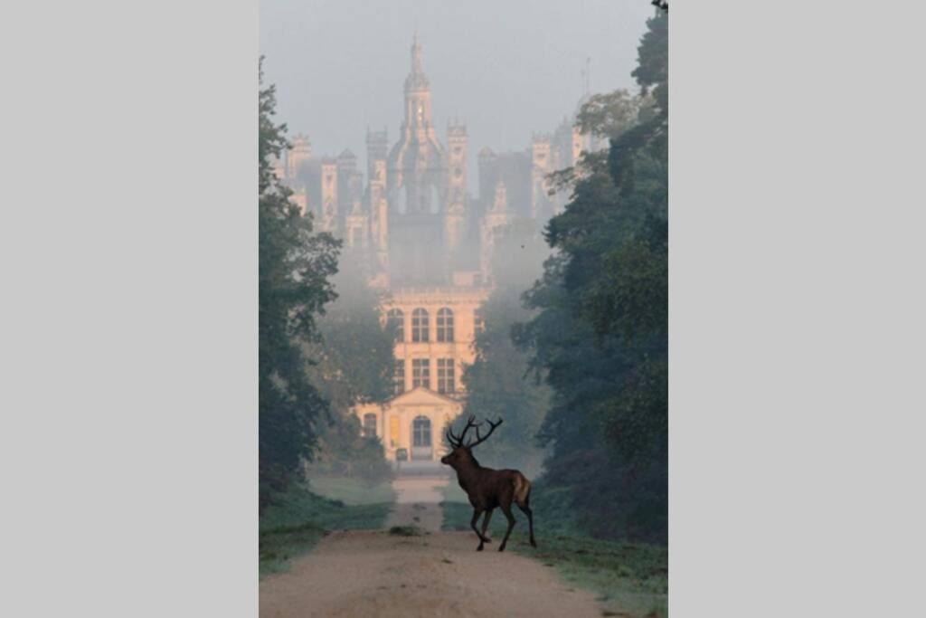 Les Bruyeres De Jeanne Et Rene Zoo De Beauval A 20Min,Chateaux Tout Inclus Fontguenand Dış mekan fotoğraf