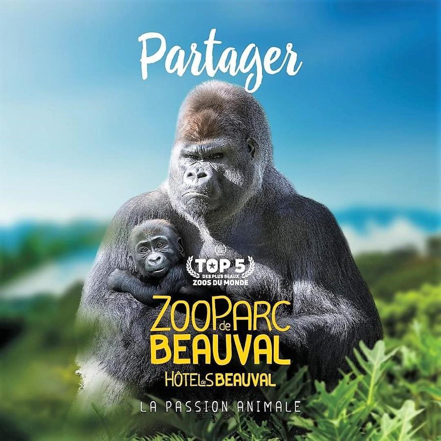 Les Bruyeres De Jeanne Et Rene Zoo De Beauval A 20Min,Chateaux Tout Inclus Fontguenand Dış mekan fotoğraf